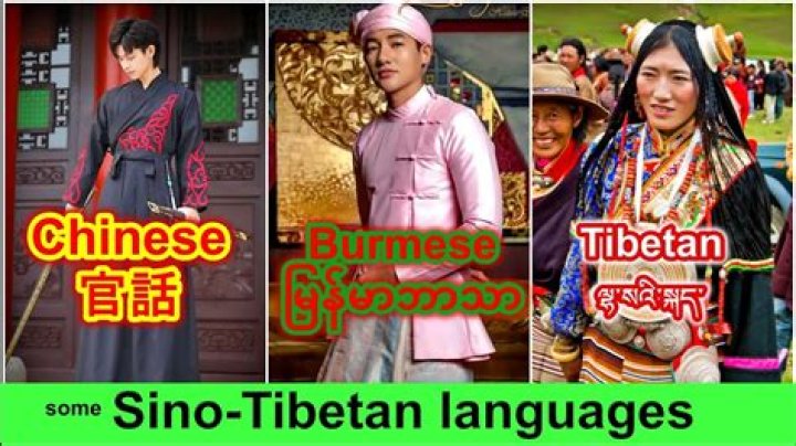 Do tibetans speak chinese?