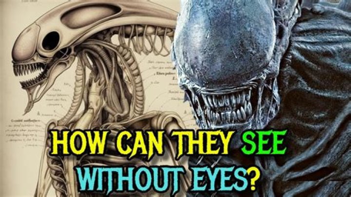 Do xenomorphs have eyes?