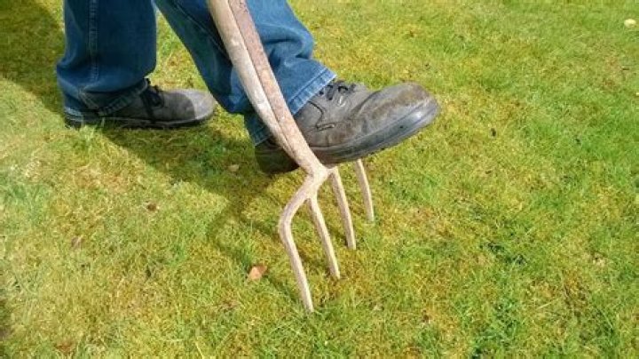 Do you aerate in the spring?