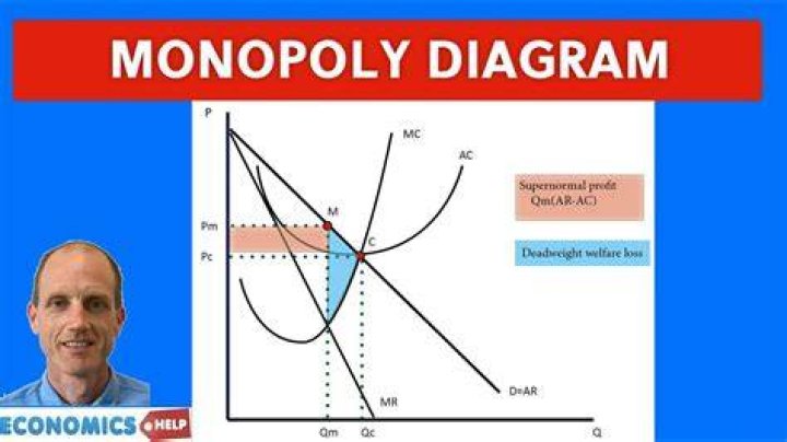 Do you consider eskom a pure monopoly?