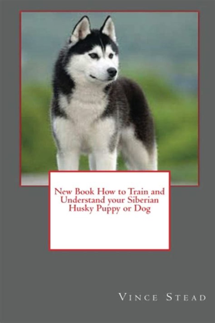 Do you train a husky?