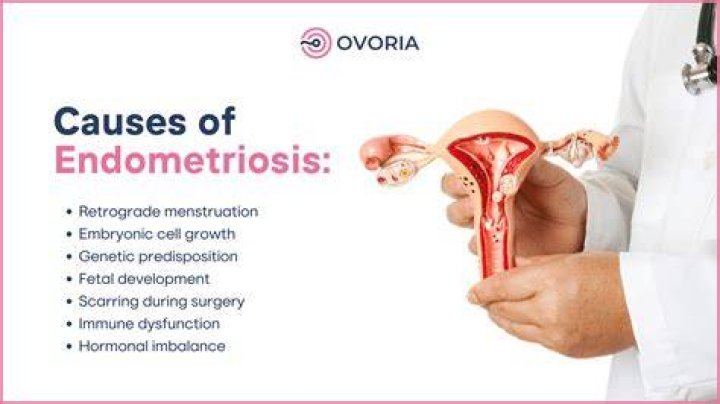 Do you treat chronic endometritis?