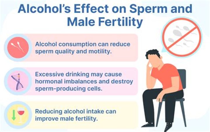 Does alcohol affect sperm during conception?