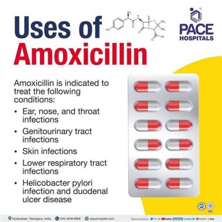 Does amoxiclav contain penicillin?