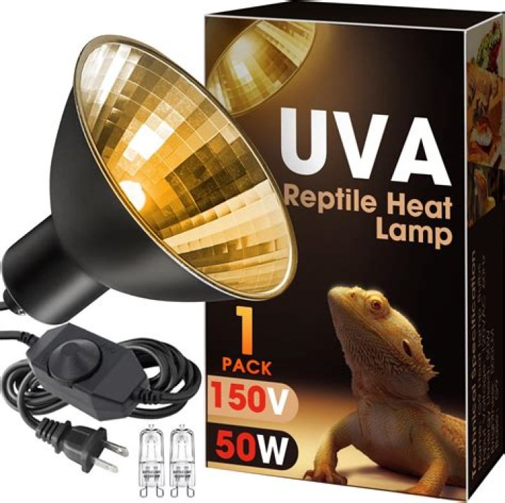 Does an iguana need a heat lamp?