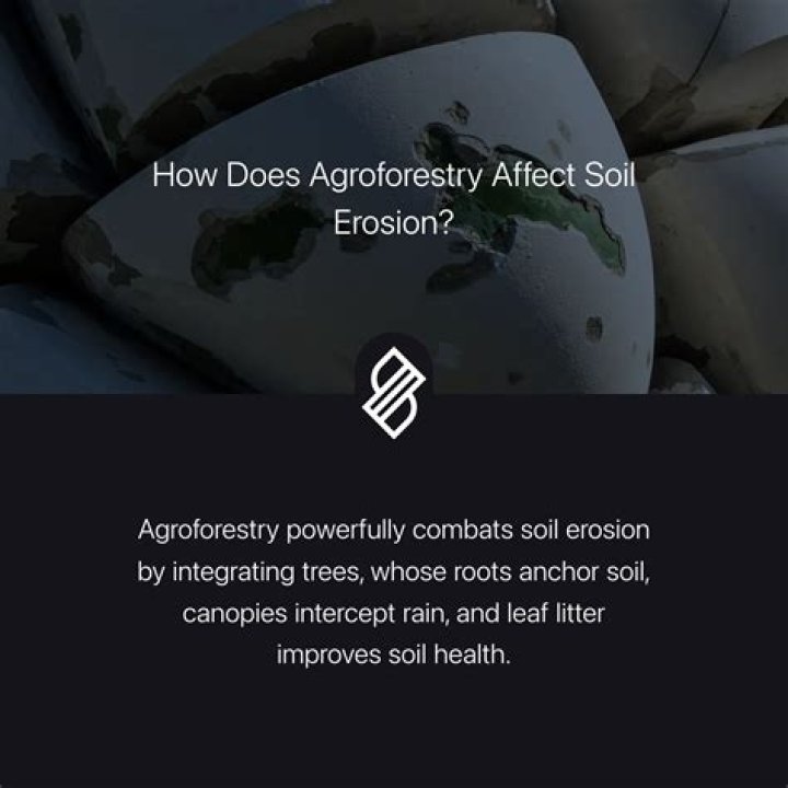 Does clear cutting affect the soil?