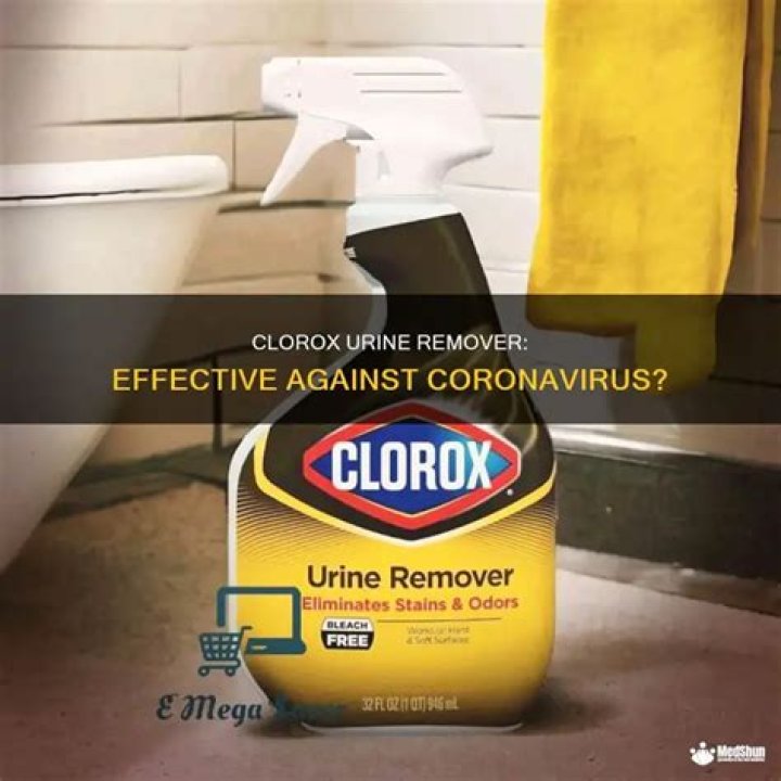 Does clorox clean up kill coronavirus?
