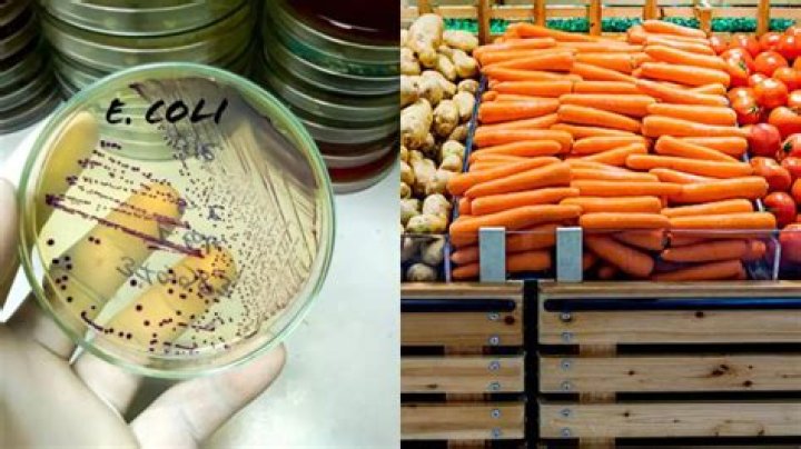 Does cooking kill e coli?