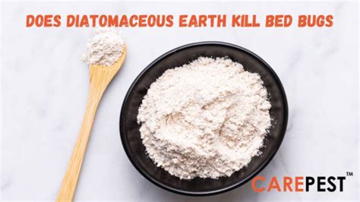 Does diatomaceous earth kill lacewings?