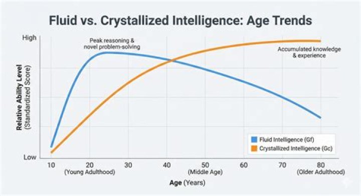 Does fluid intelligence increase with age?
