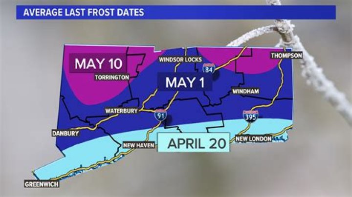 Does frost kill acers?