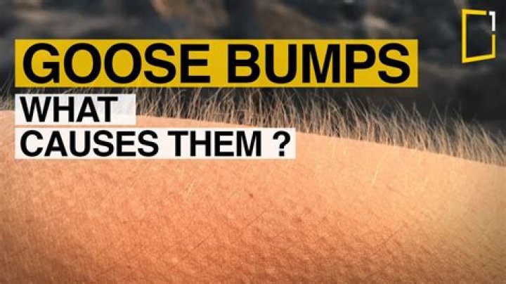 Does goosebumps make hair grow?