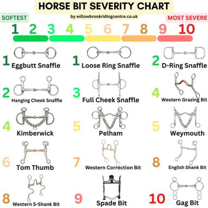 Does it hurt horses to be ridden?