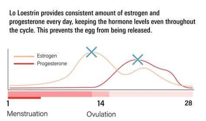 Does lo loestrin have estrogen?