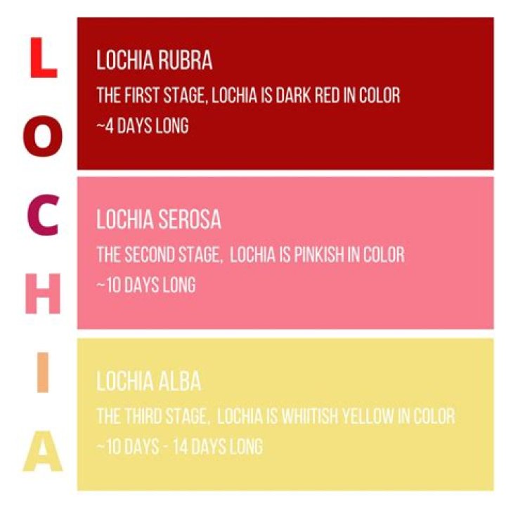 Does lochia turn yellow?