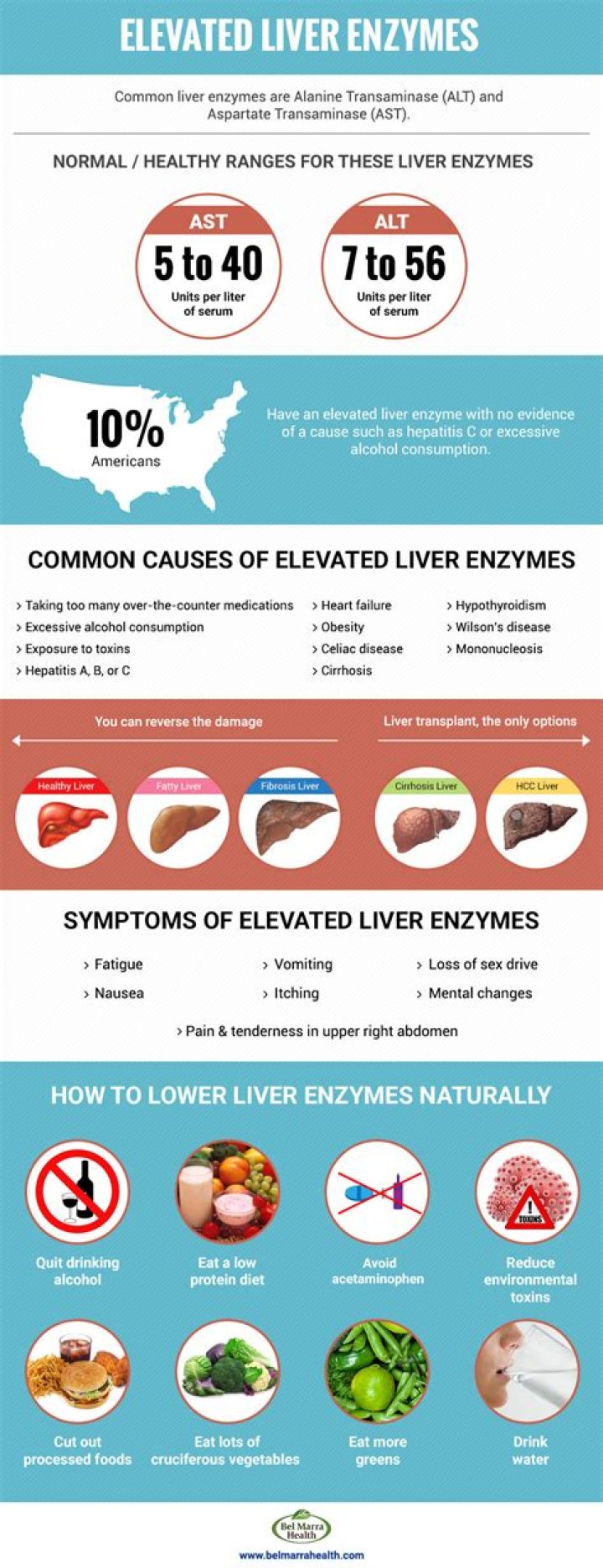 Does nafld cause elevated liver enzymes?