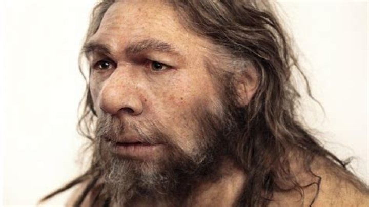 Does neanderthal still exist?