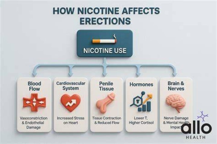 Does nicotine cause impotence?