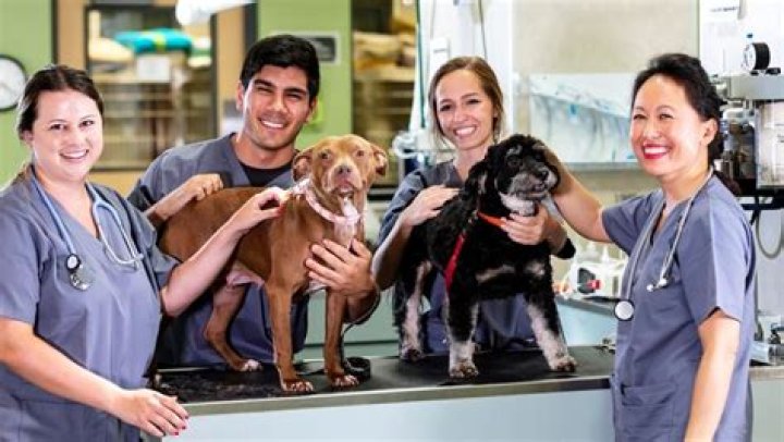 Does nyu have a veterinary program?