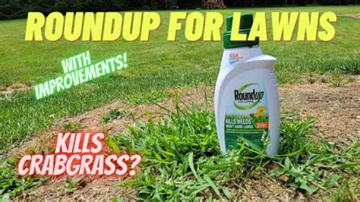 Does roundup kill buttonweed?