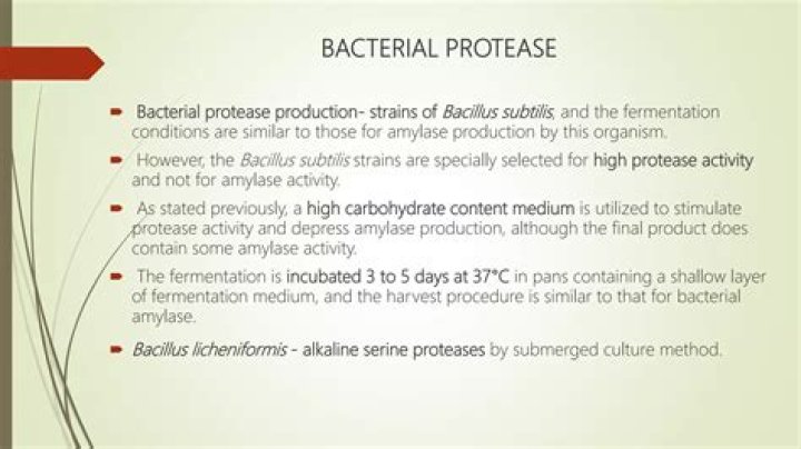 Does saliva contain proteases?