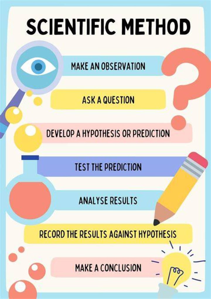 Does scientist draw conclusions?