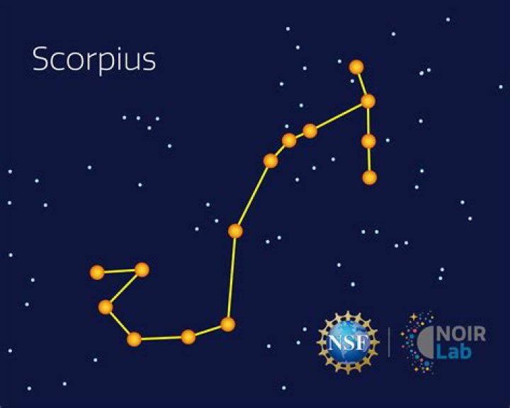 Does scorpius marry rose?