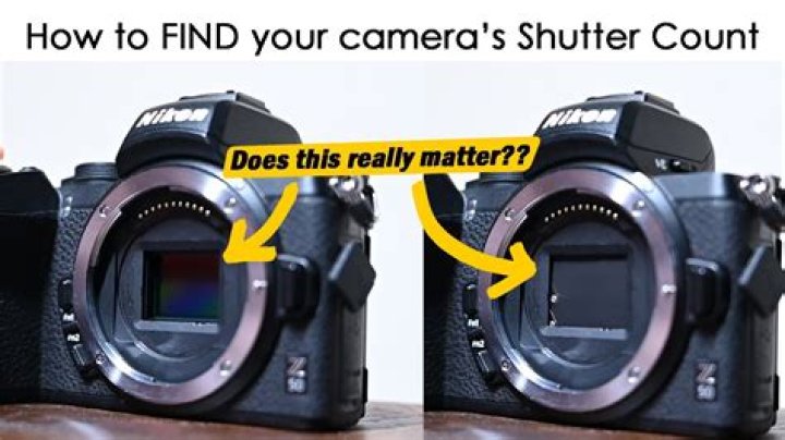 Does shutter count matter?