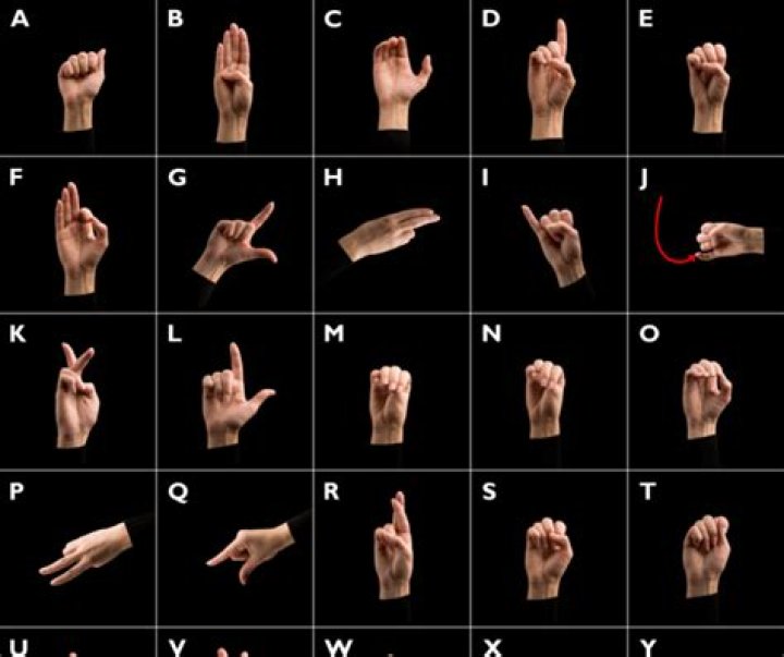 Does sign language have different languages?