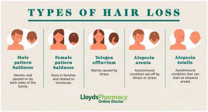 Does studying cause hair loss?