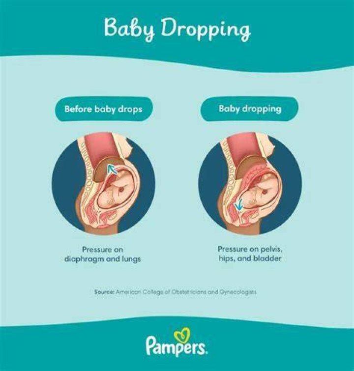 Does the baby always drop?