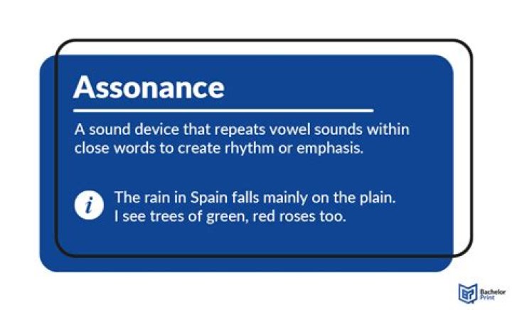 Does the word assonance mean?