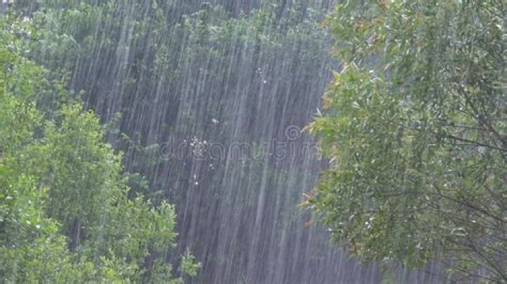 Does torrential rain mean?