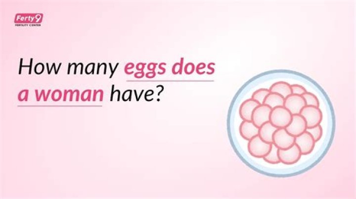 Does woman have eggs?