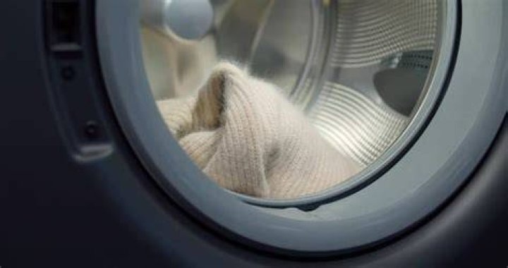 Does wool shrink in the dryer?