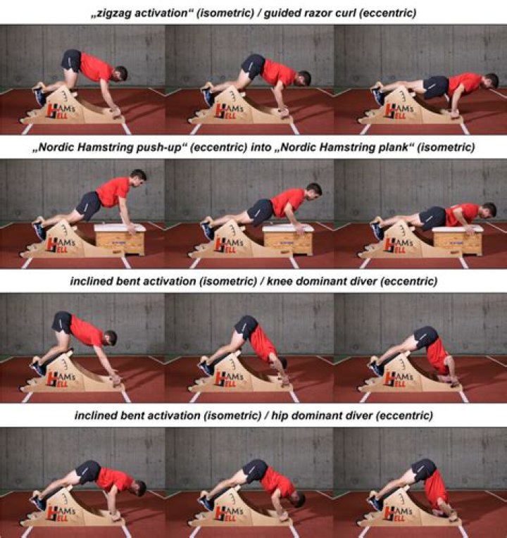 During isometric exercise muscles?