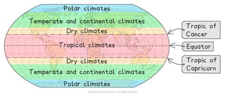 During much of the year marine climates are characterized by?