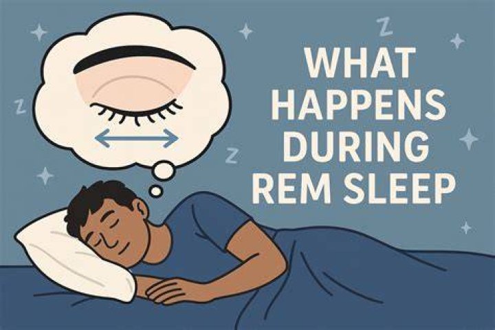 During sleep what happens?