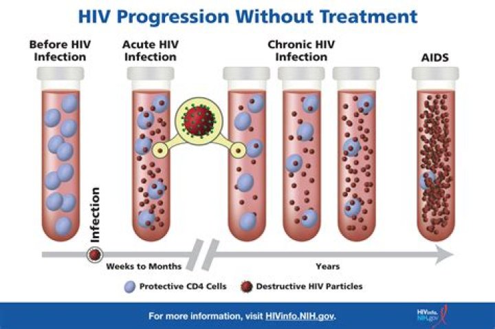 During the acute (seroconversion) stage of hiv infection?