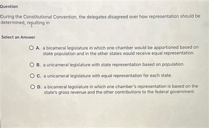 During the constitutional convention delegates disagreed over quizlet?