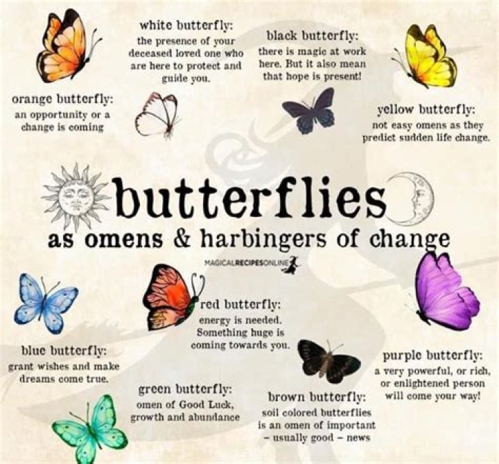 For a butterfly meaning?