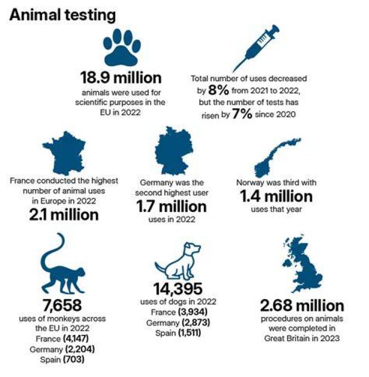 For animal testing facts?