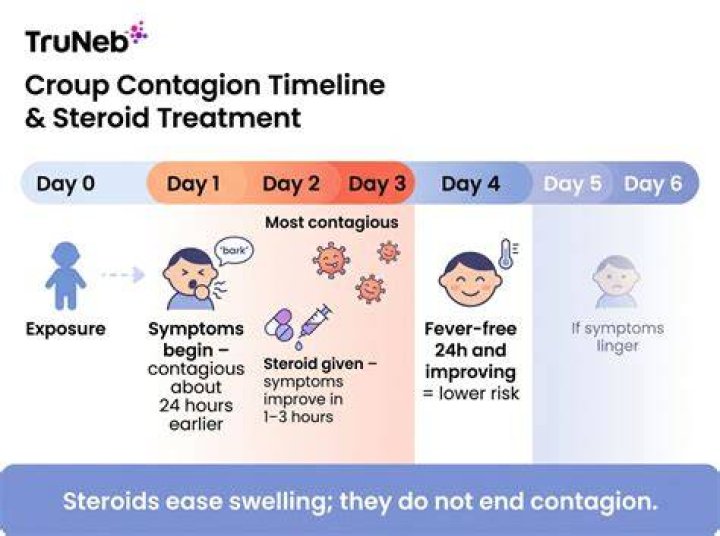 For how long is croup contagious?