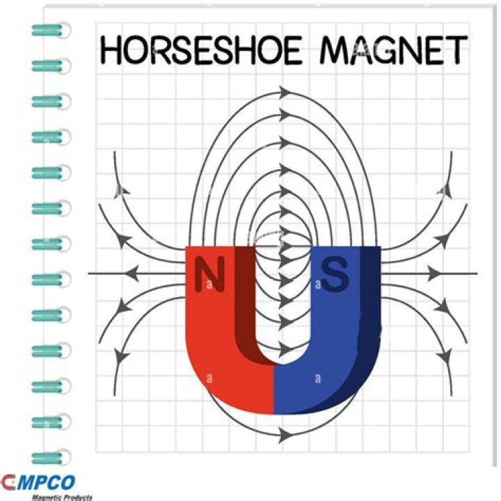 Has a horseshoe magnet?