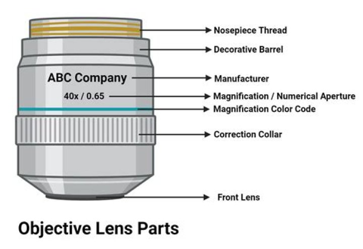 Has an ocular lens and an objective lens?
