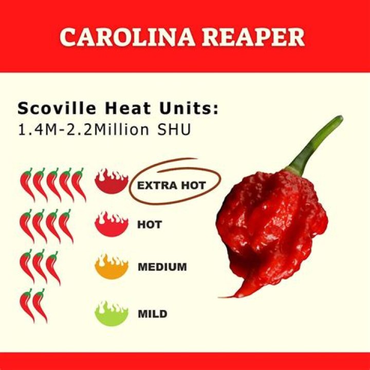 Has anyone eaten the carolina reaper?