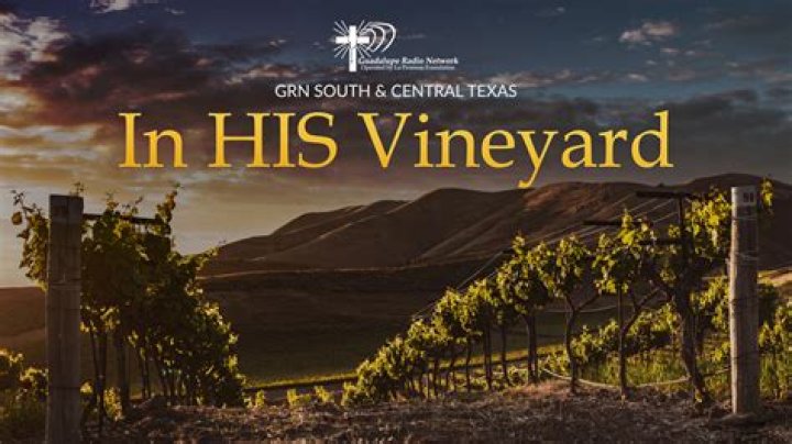 Has cliff richard sold his vineyard?