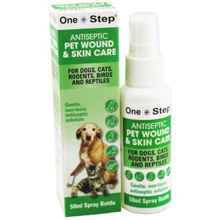 Has dogs got antiseptic tongues?