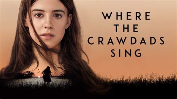 Has where the crawdads sing been optioned for a movie?