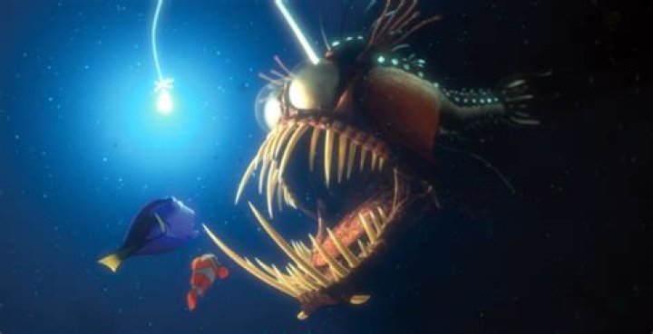 How angler fish eat?